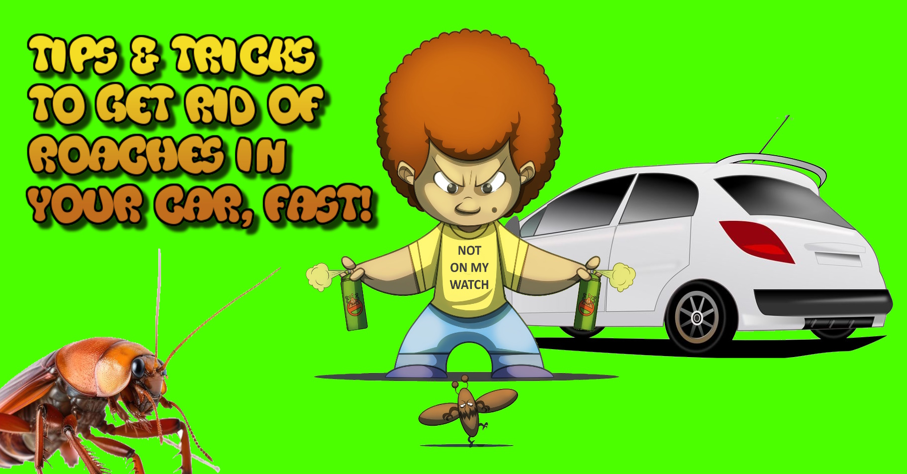 How to Get Rid of Roaches in Car Interiors, Fast!